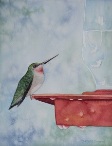 Humming Bird_web