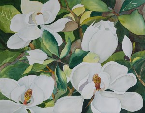 Southern Magnolia 2013